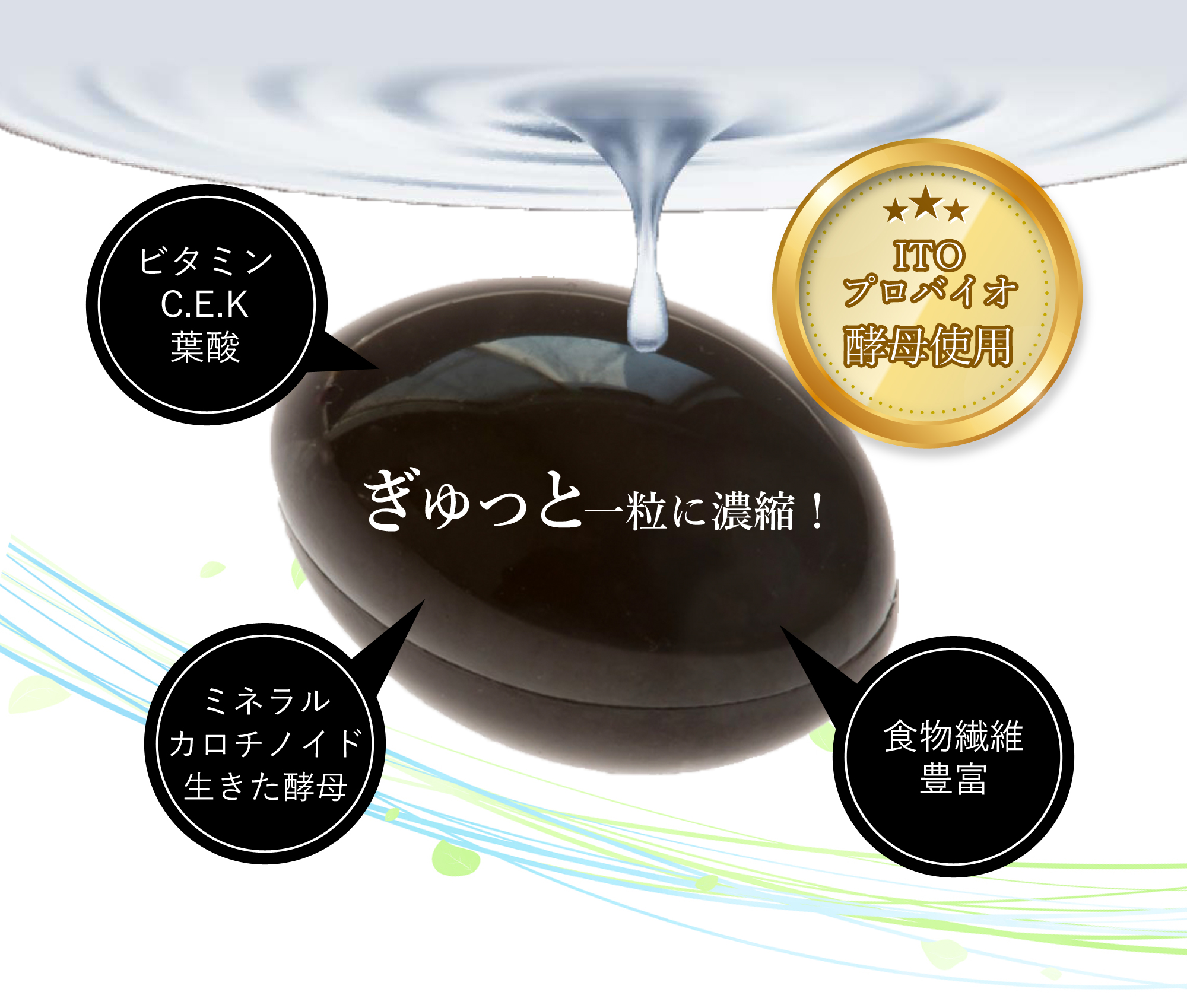 ぎゅっと一粒に濃縮！