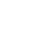 VOICE 03